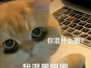 醒来时发现已经在 C 了，有了它，你还在担心熬夜后的熊猫眼吗？