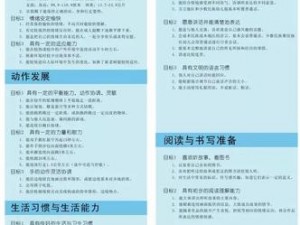 《暴力辛迪加窗口化方法详解：实用教程与操作指南》