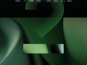 公的之手中字 5：高品质 XXX 产品，带来极致体验