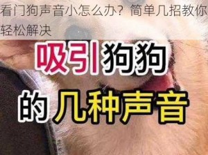 看门狗声音小怎么办？简单几招教你轻松解决