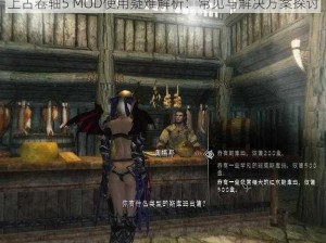 上古卷轴5 MOD使用疑难解析：常见与解决方案探讨