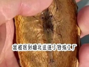 活体肉莲图片照片博物馆大全;活体肉莲图片照片博物馆大全：探索未知的奇妙世界