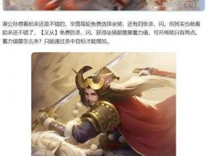 三国志幻想大陆：公孙瓒战力评估与角色深度解析