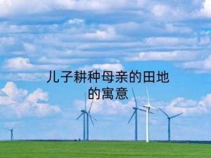 儿子耕种母亲的田地叫什么【儿子耕种母亲的田地，这种行为在不同的文化和地区可能有不同的称呼，你想了解一下吗？】