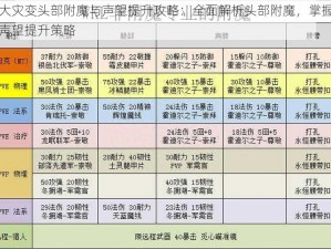 大灾变头部附魔与声望提升攻略：全面解析头部附魔，掌握声望提升策略