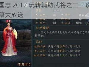 三国志 2017 玩转辅助武将之二：攻略秘籍大放送