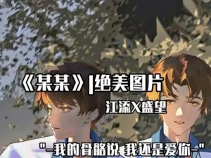 江添为什么把盛望做流？如何解决这个问题？