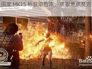 《腐烂国度 MK15 枪获取指南：获取地点及方法全解析》