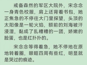 哭的越狠撞的越狠军婚系列军婚伤痛文学，让你深刻感受爱情的酸甜苦辣