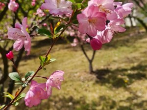 春暖花x8 x8地址 春暖花 x8 x8 地址在哪里？