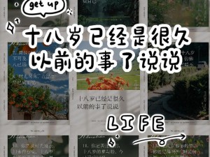 已满 18 周岁从此转入社会，如何规划未来？