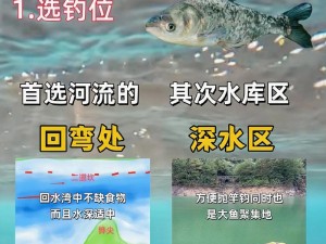 沙石镇时光：掌握这些技巧，轻松钓到大沙鲢