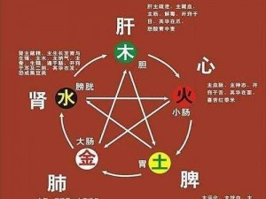 五行诀电脑版怎么下载？官方安装说明来了