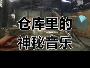 消逝的光芒仓库是共用的吗？实测结果出人意料