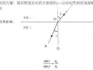 光的力量：探究野蛮生长的大型组织——以光42为例的深度解析