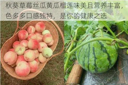秋葵草莓丝瓜黄瓜榴莲味美且营养丰富,色多多口感独特,是你的健康之选