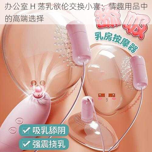 办公室 H 荡乳欲伦交换小喜：情趣用品中的高端选择