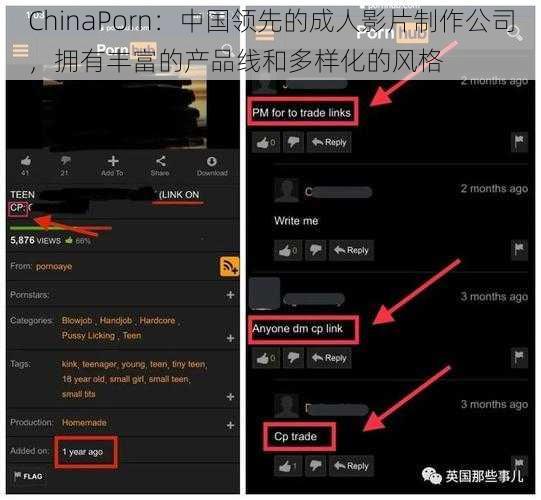 ChinaPorn：中国领先的成人影片制作公司，拥有丰富的产品线和多样化的风格