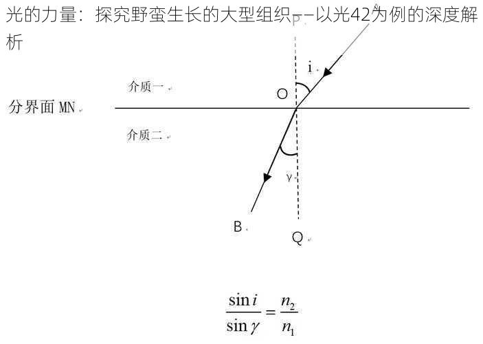 光的力量：探究野蛮生长的大型组织——以光42为例的深度解析