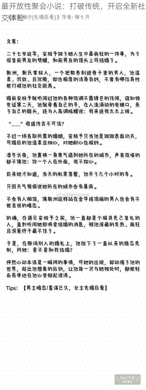 最开放性聚会小说：打破传统，开启全新社交体验