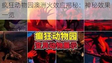 疯狂动物园澳洲火效应揭秘：神秘效果一览