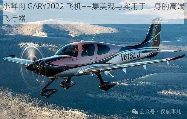 小鲜肉 GARY2022 飞机——集美观与实用于一身的高端飞行器