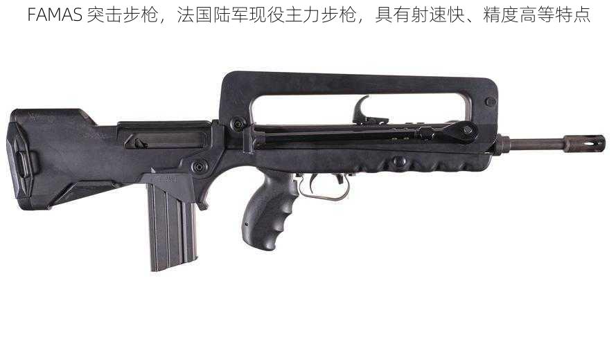 FAMAS 突击步枪，法国陆军现役主力步枪，具有射速快、精度高等特点