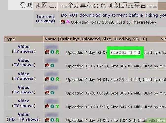 爱城 bt 网址，一个分享和交流 bt 资源的平台