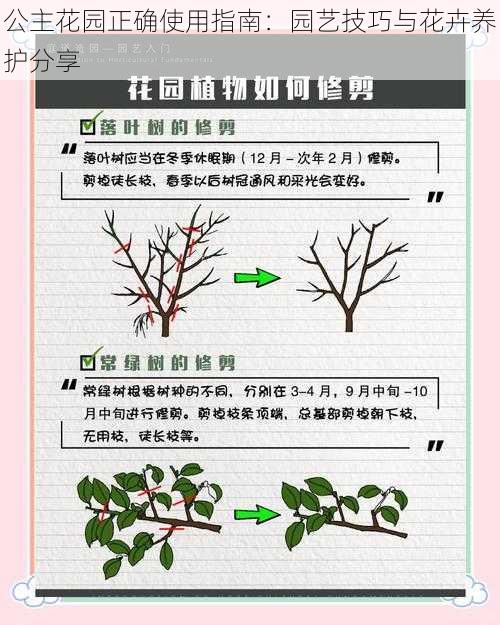 公主花园正确使用指南：园艺技巧与花卉养护分享