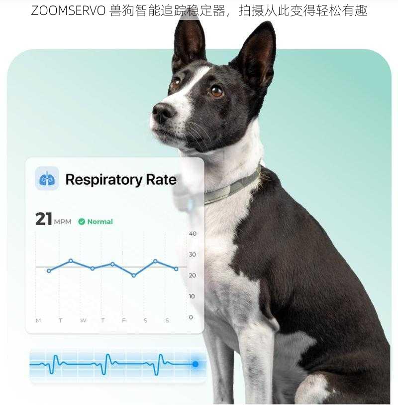 ZOOMSERVO 兽狗智能追踪稳定器，拍摄从此变得轻松有趣