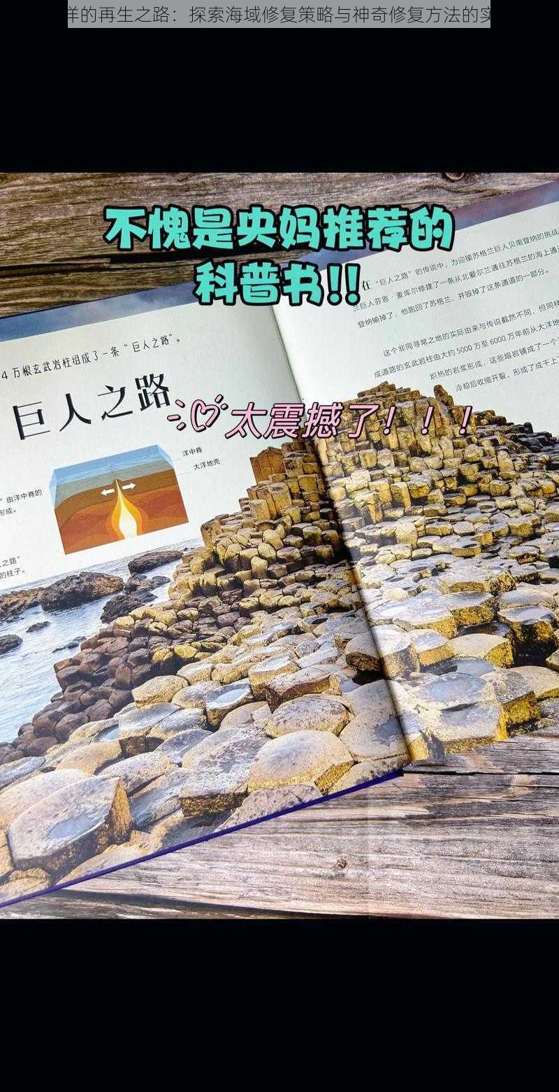 神奇海洋的再生之路：探索海域修复策略与神奇修复方法的实践分享