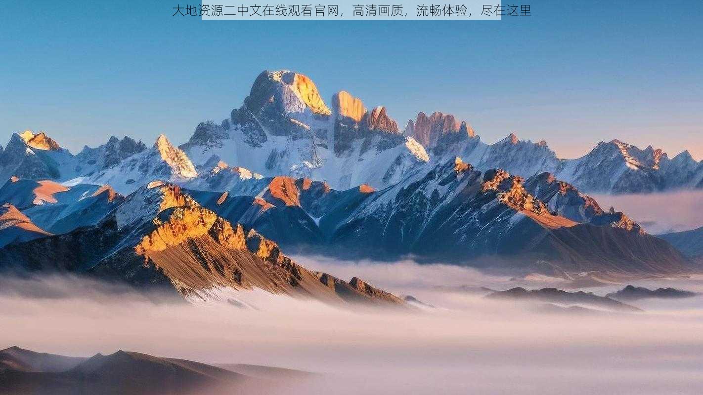 大地资源二中文在线观看官网，高清画质，流畅体验，尽在这里