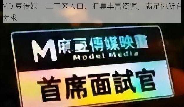 MD 豆传媒一二三区入口，汇集丰富资源，满足你所有需求