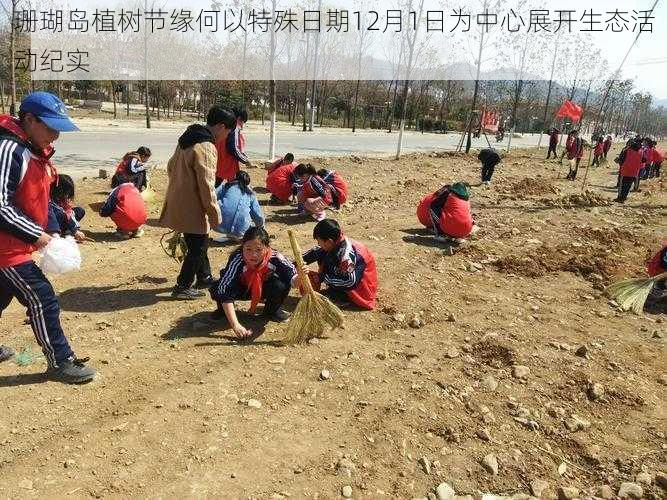 珊瑚岛植树节缘何以特殊日期12月1日为中心展开生态活动纪实