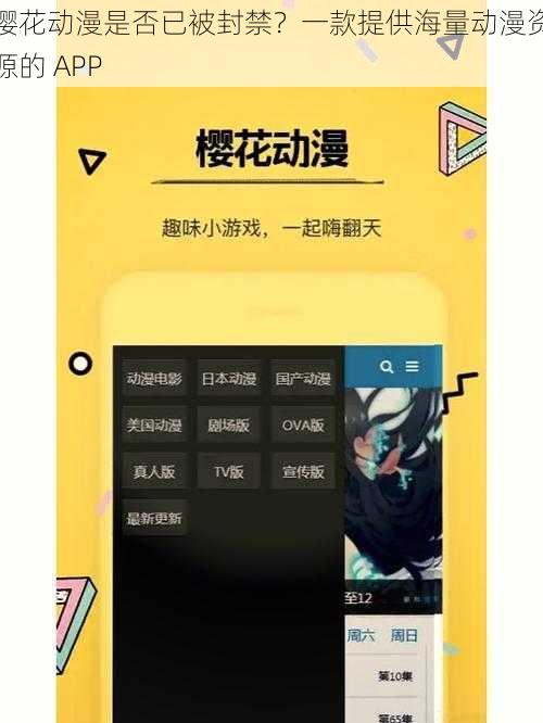 樱花动漫是否已被封禁？一款提供海量动漫资源的 APP