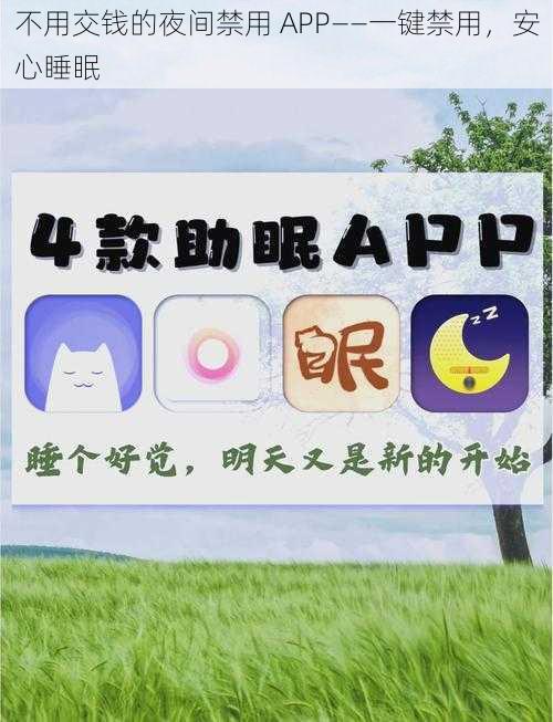 不用交钱的夜间禁用 APP——一键禁用，安心睡眠