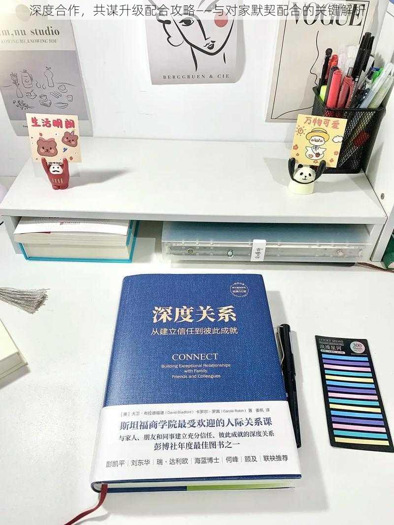 深度合作，共谋升级配合攻略——与对家默契配合的关键解析