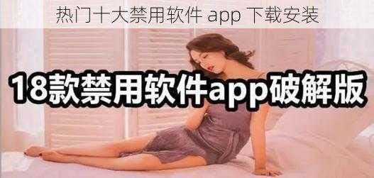 热门十大禁用软件 app 下载安装