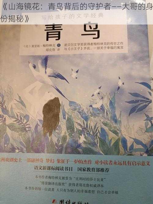 《山海镜花：青鸟背后的守护者——大哥的身份揭秘》