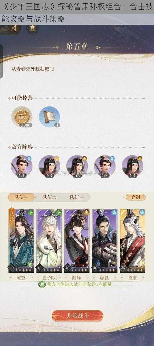 《少年三国志》探秘鲁肃孙权组合：合击技能攻略与战斗策略