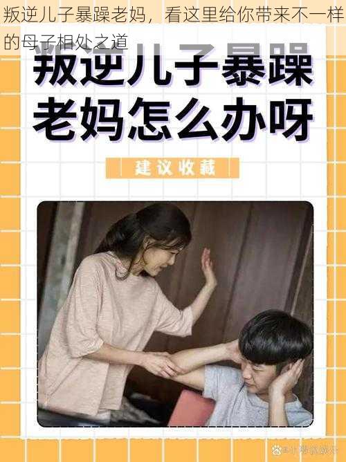 叛逆儿子暴躁老妈，看这里给你带来不一样的母子相处之道