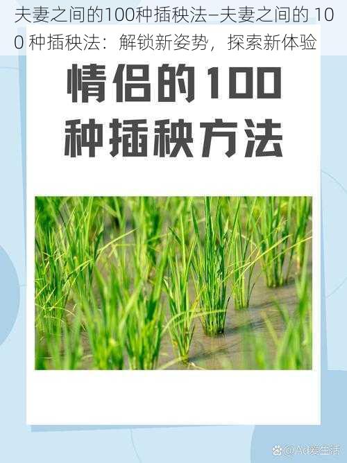 夫妻之间的100种插秧法—夫妻之间的 100 种插秧法：解锁新姿势，探索新体验