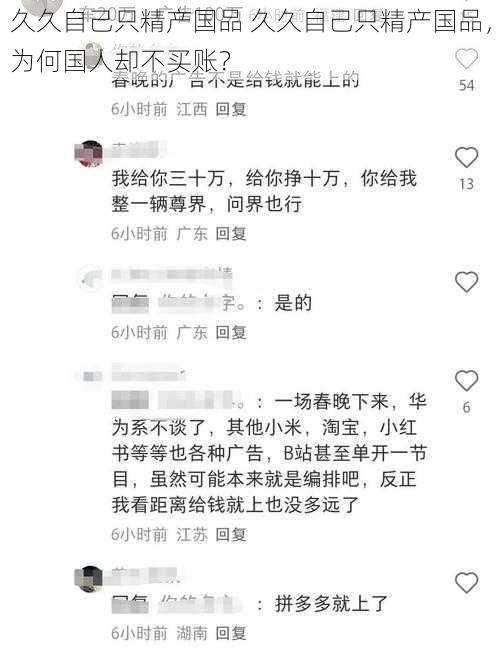 久久自己只精产国品 久久自己只精产国品，为何国人却不买账？