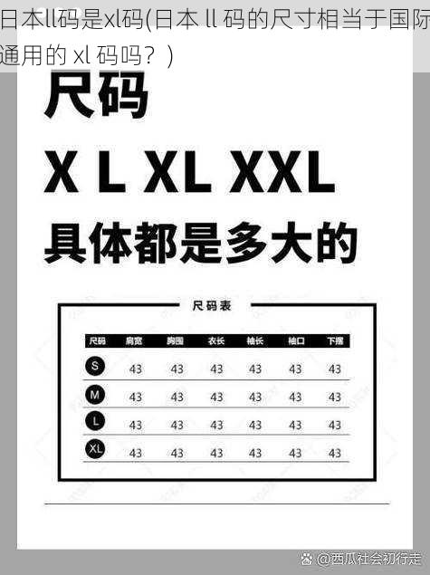 日本ll码是xl码(日本 ll 码的尺寸相当于国际通用的 xl 码吗？)