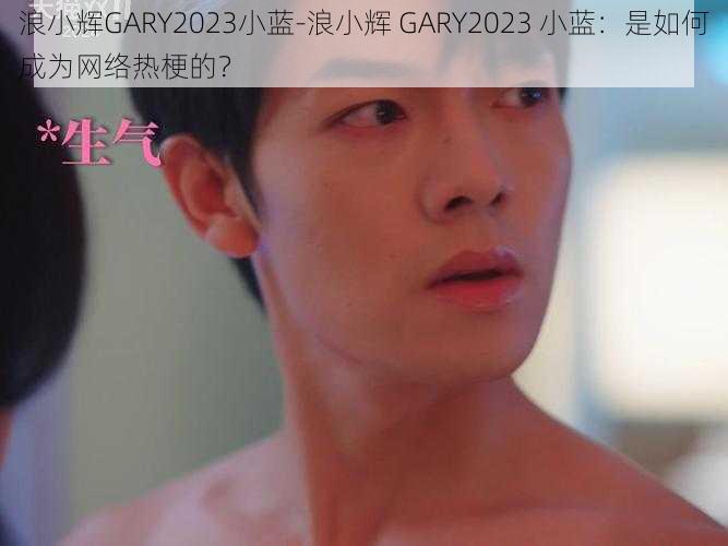 浪小辉GARY2023小蓝-浪小辉 GARY2023 小蓝：是如何成为网络热梗的？