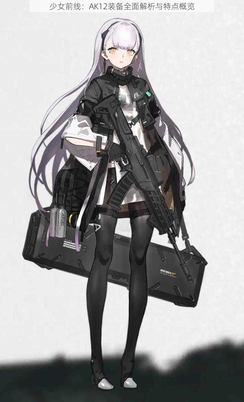 少女前线：AK12装备全面解析与特点概览