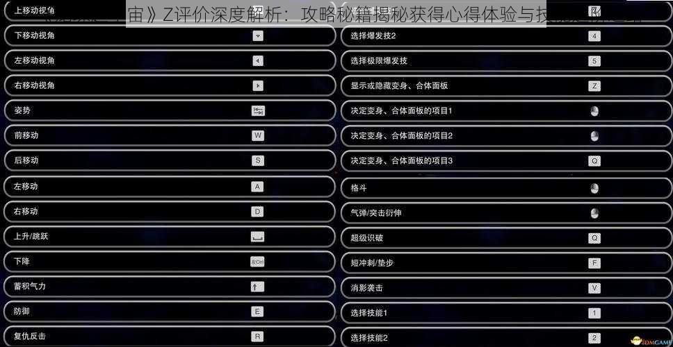 《龙珠超宇宙》Z评价深度解析：攻略秘籍揭秘获得心得体验与技能进阶之路