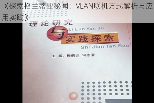 《探索格兰蒂亚秘闻：VLAN联机方式解析与应用实践》