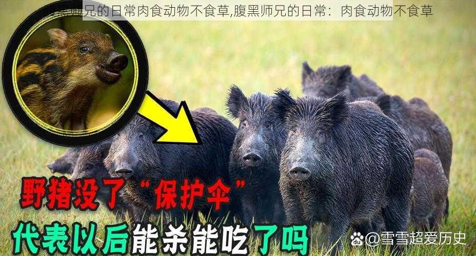 腹黑师兄的日常肉食动物不食草,腹黑师兄的日常：肉食动物不食草