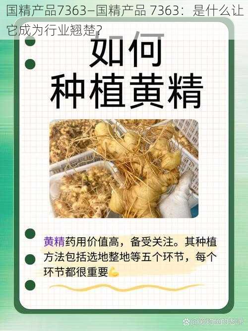 国精产品7363—国精产品 7363：是什么让它成为行业翘楚？